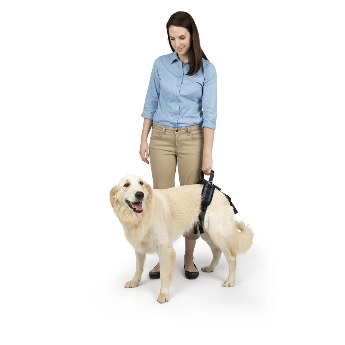 PetSafe CareLift arnés de elevación trasera con asa y correa