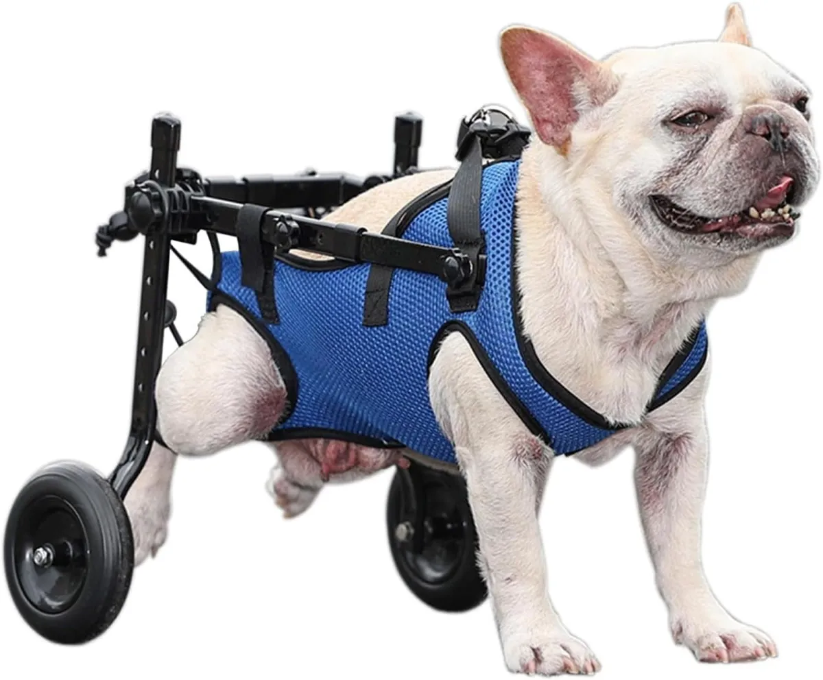 Silla de ruedas para patas traseras con soporte