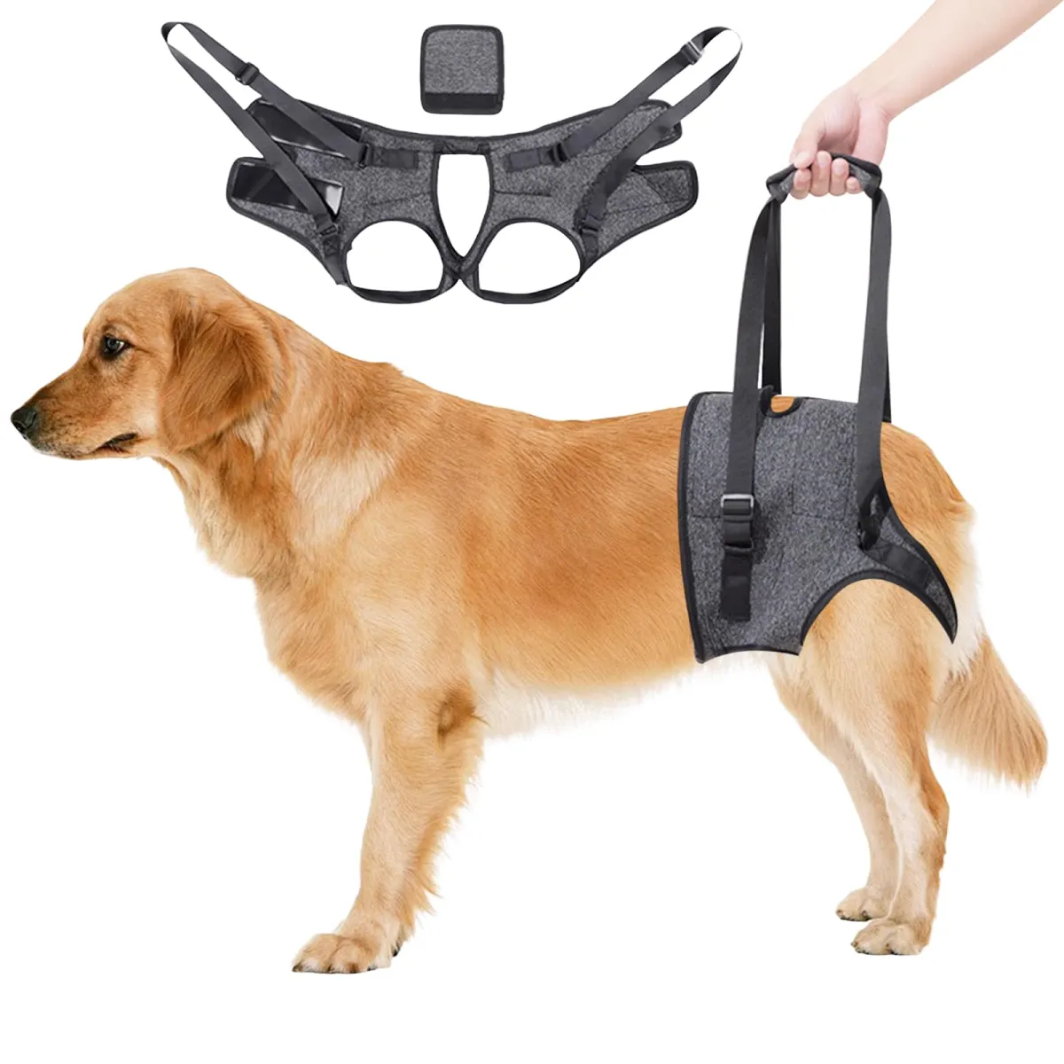 Dokeno Cinturón de soporte ajustable para patas traseras