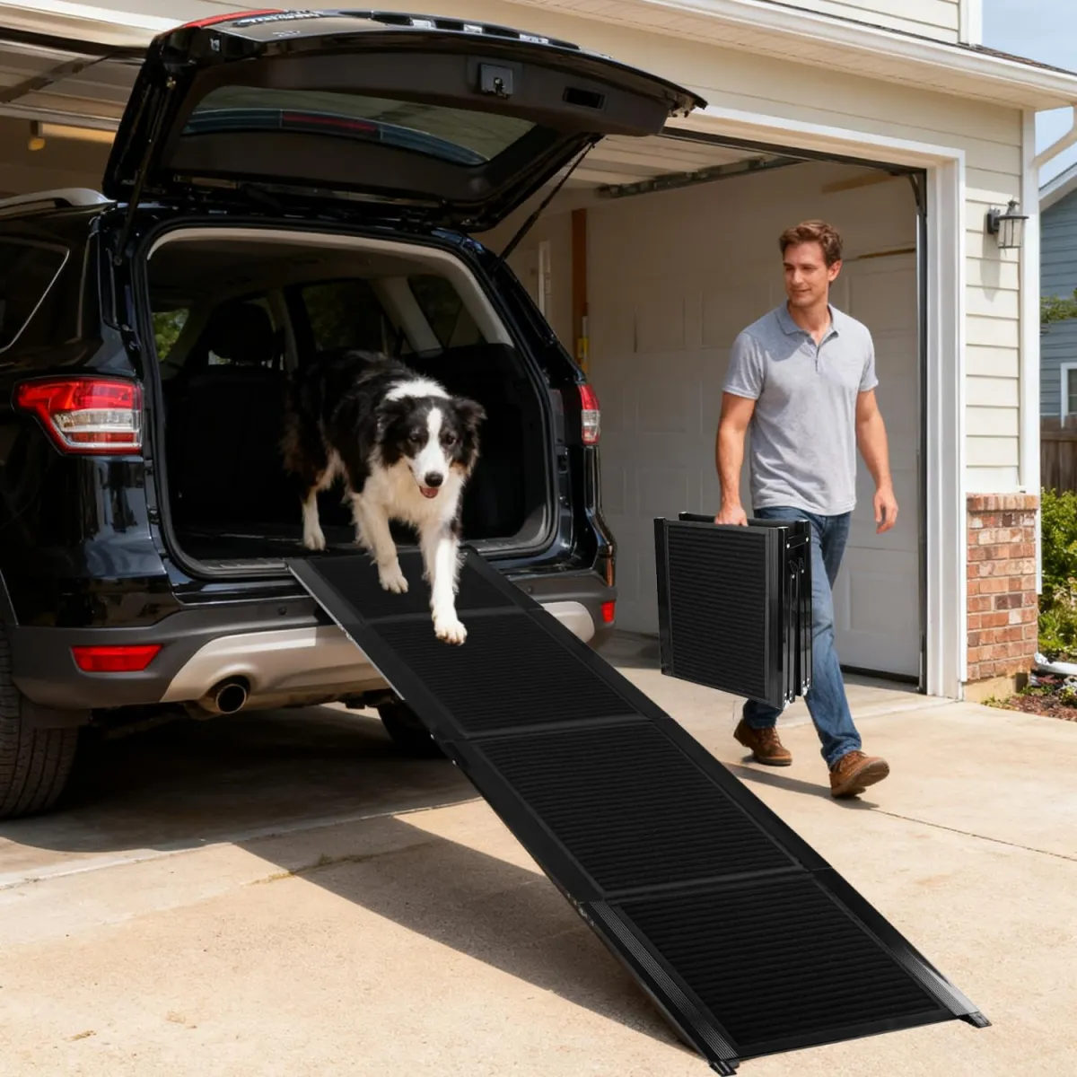 Nobleza Rampa para perros para coche 170 cm de metal, plegable, con alfombra antideslizante
