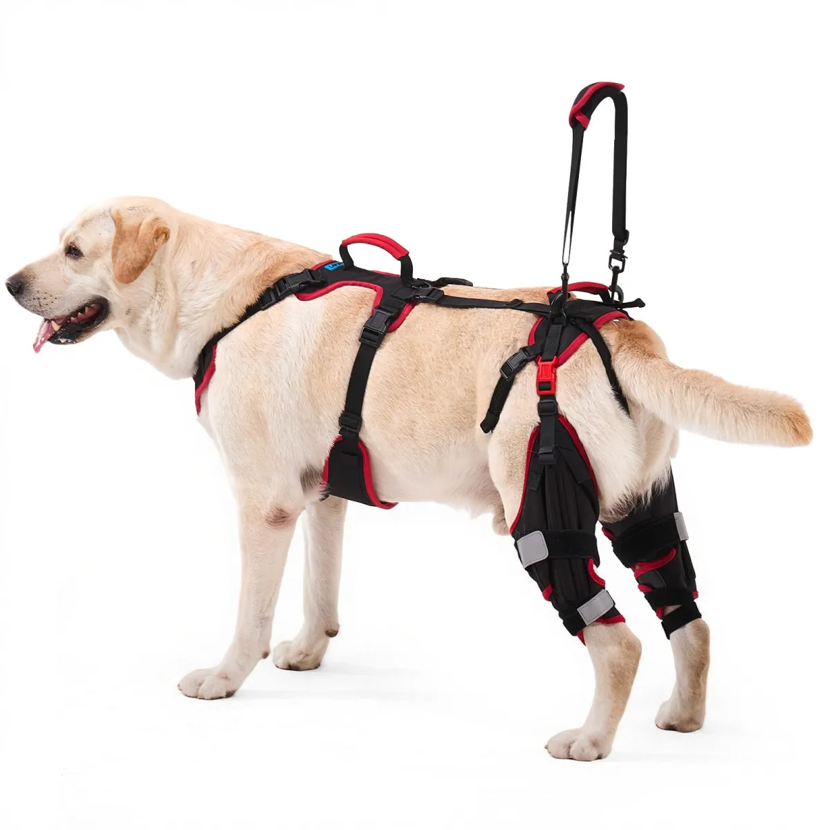 Lafoty Rodillera con arnés de elevación para patas traseras (juego de 2)