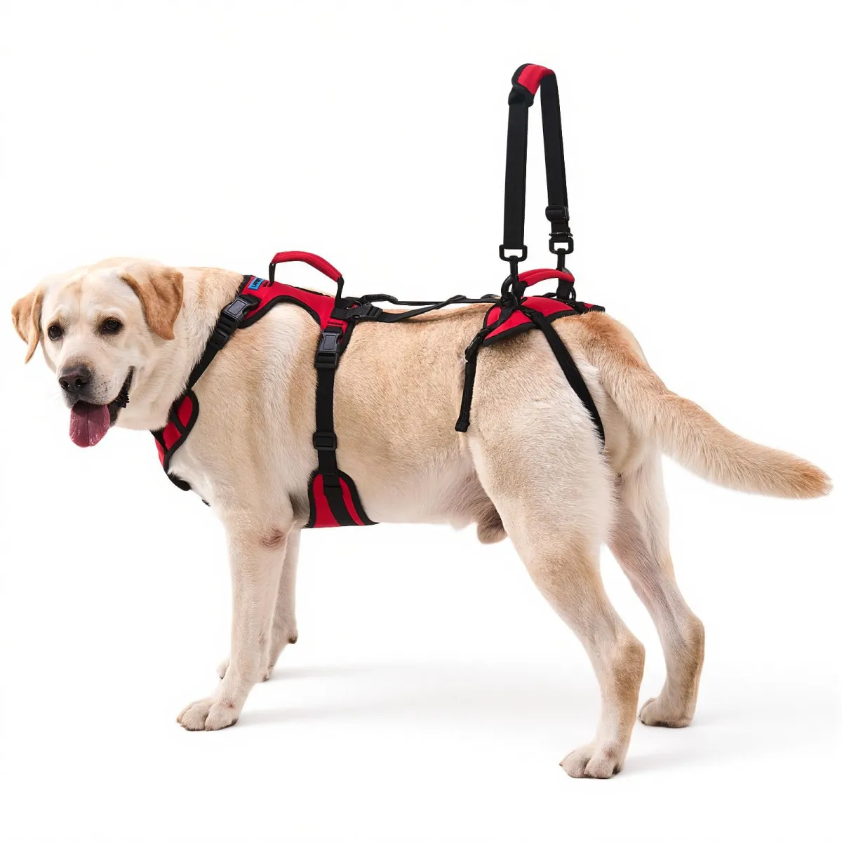 Arnés de cuerpo completo para perros grandes